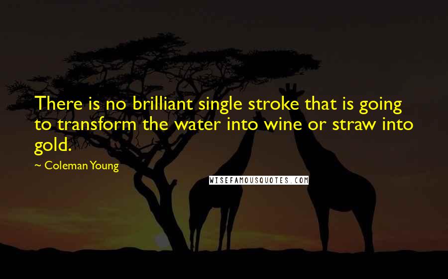 Coleman Young Quotes: There is no brilliant single stroke that is going to transform the water into wine or straw into gold.