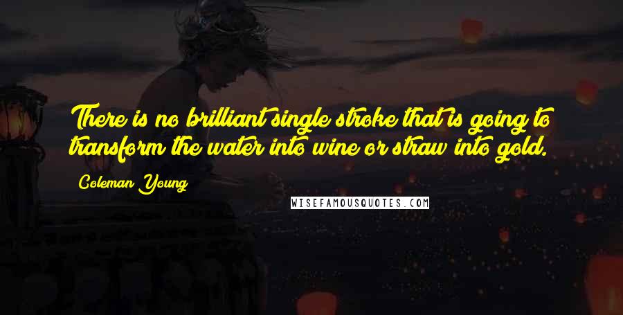 Coleman Young Quotes: There is no brilliant single stroke that is going to transform the water into wine or straw into gold.