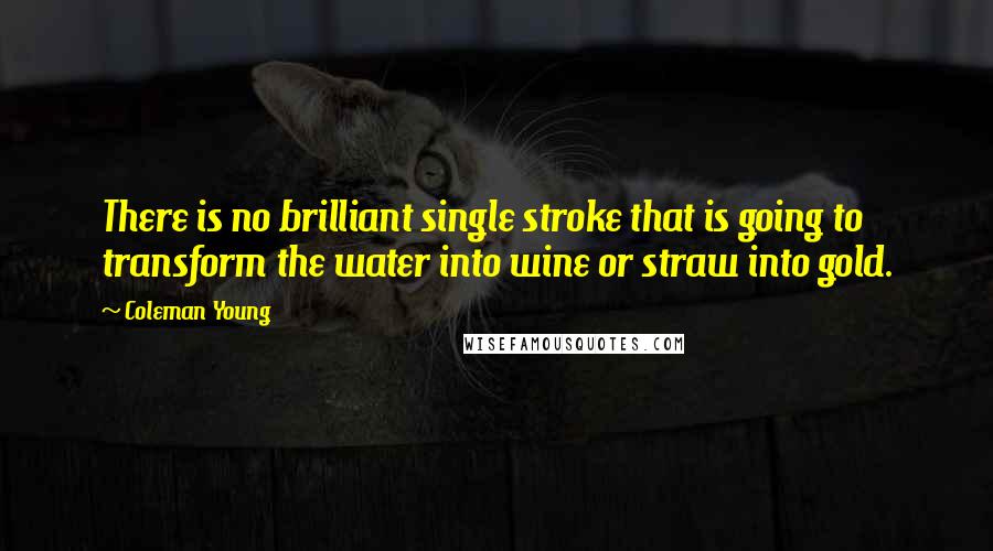 Coleman Young Quotes: There is no brilliant single stroke that is going to transform the water into wine or straw into gold.