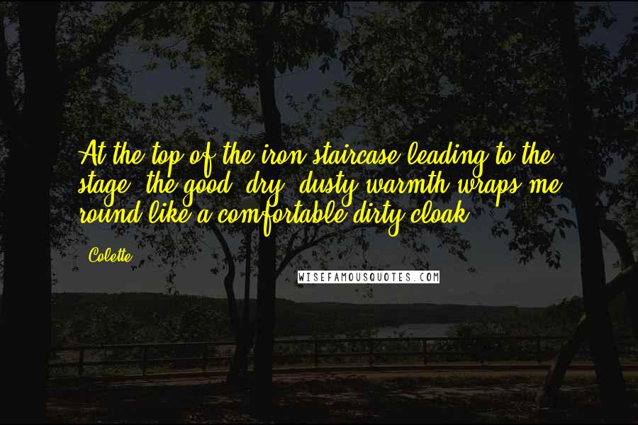 Colette Quotes: At the top of the iron staircase leading to the stage, the good, dry, dusty warmth wraps me round like a comfortable dirty cloak.