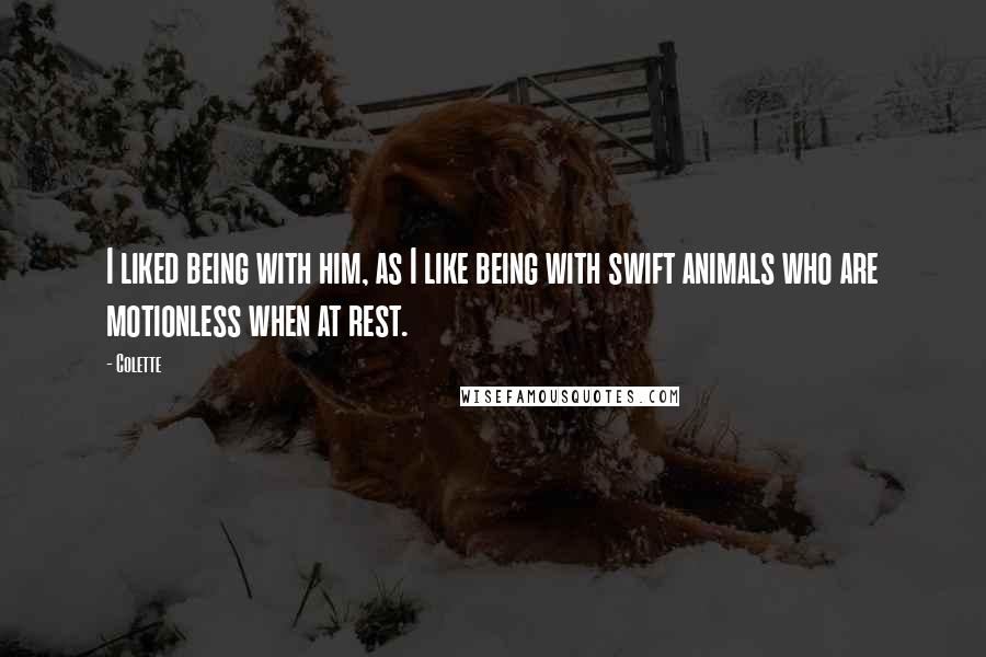 Colette Quotes: I liked being with him, as I like being with swift animals who are motionless when at rest.