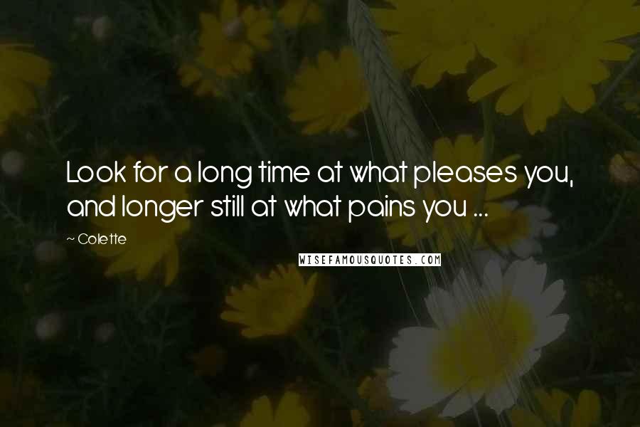 Colette Quotes: Look for a long time at what pleases you, and longer still at what pains you ...