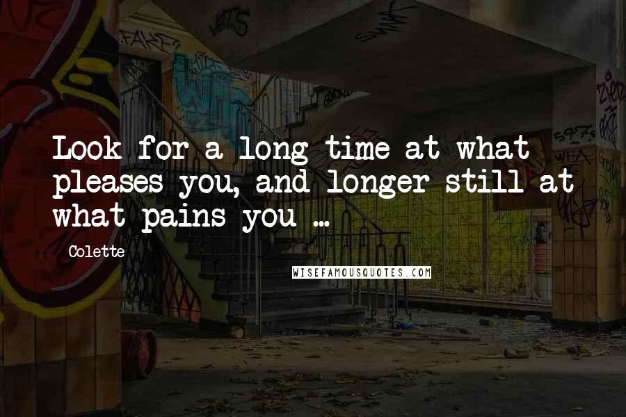 Colette Quotes: Look for a long time at what pleases you, and longer still at what pains you ...