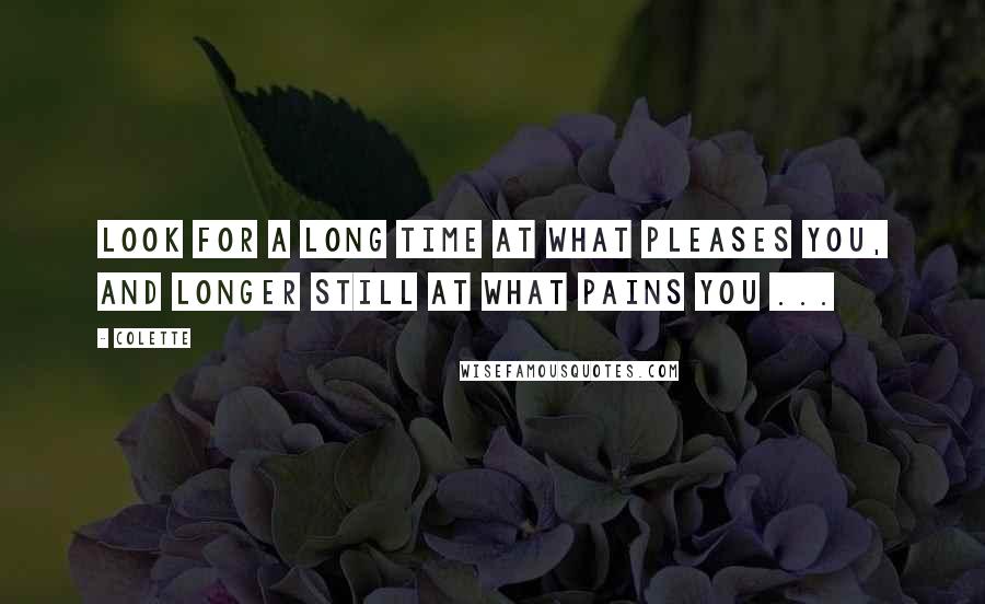 Colette Quotes: Look for a long time at what pleases you, and longer still at what pains you ...