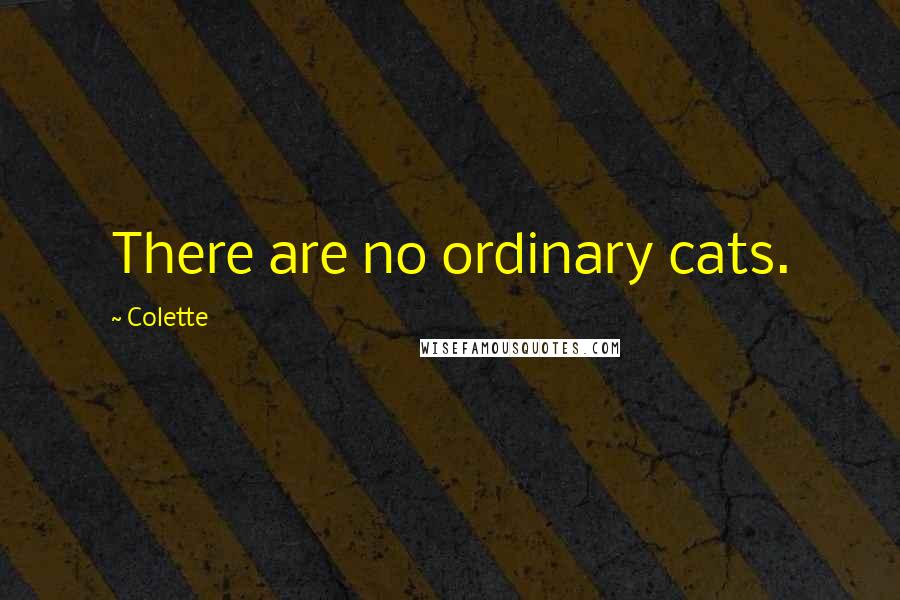 Colette Quotes: There are no ordinary cats.