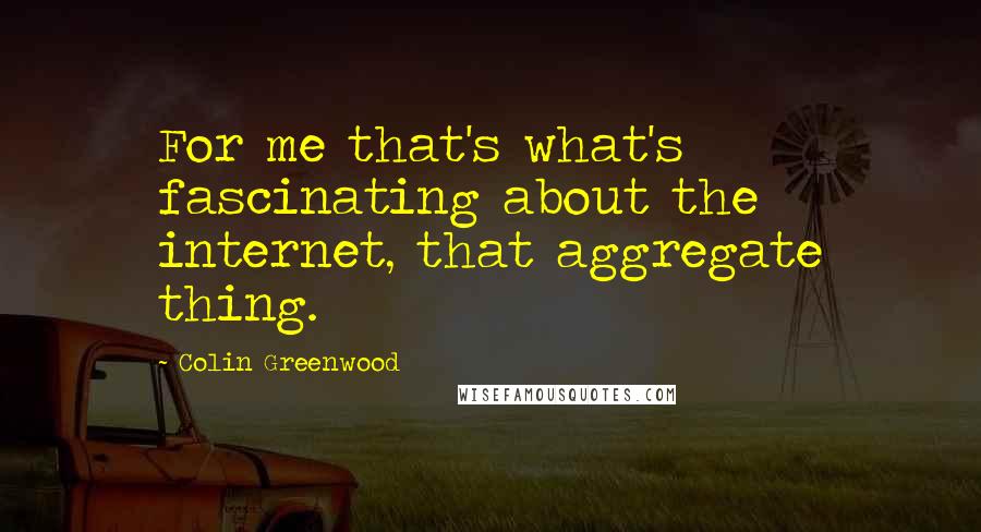 Colin Greenwood Quotes: For me that's what's fascinating about the internet, that aggregate thing.