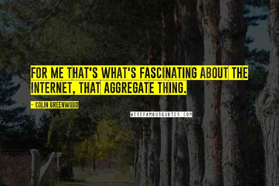 Colin Greenwood Quotes: For me that's what's fascinating about the internet, that aggregate thing.