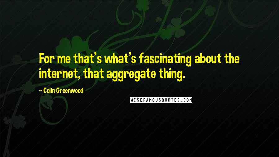 Colin Greenwood Quotes: For me that's what's fascinating about the internet, that aggregate thing.