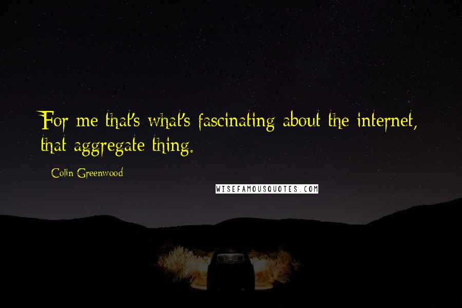 Colin Greenwood Quotes: For me that's what's fascinating about the internet, that aggregate thing.