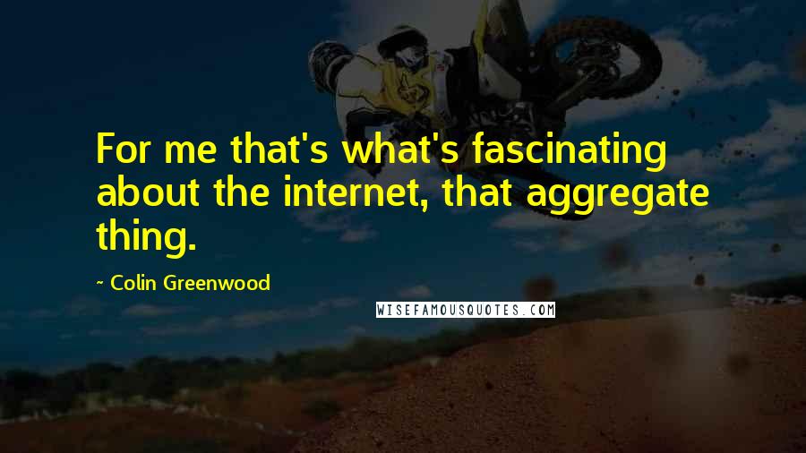 Colin Greenwood Quotes: For me that's what's fascinating about the internet, that aggregate thing.