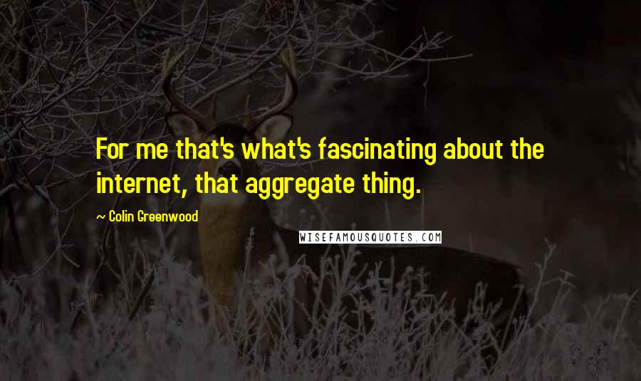 Colin Greenwood Quotes: For me that's what's fascinating about the internet, that aggregate thing.