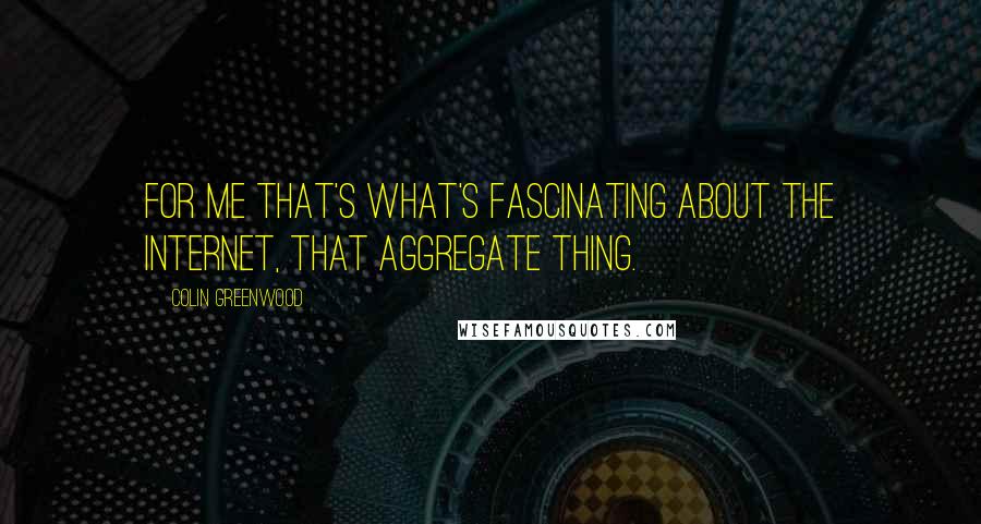 Colin Greenwood Quotes: For me that's what's fascinating about the internet, that aggregate thing.