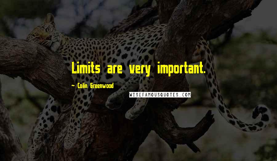 Colin Greenwood Quotes: Limits are very important.