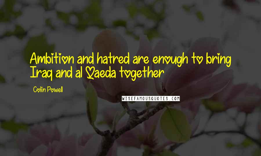 Colin Powell Quotes: Ambition and hatred are enough to bring Iraq and al Qaeda together