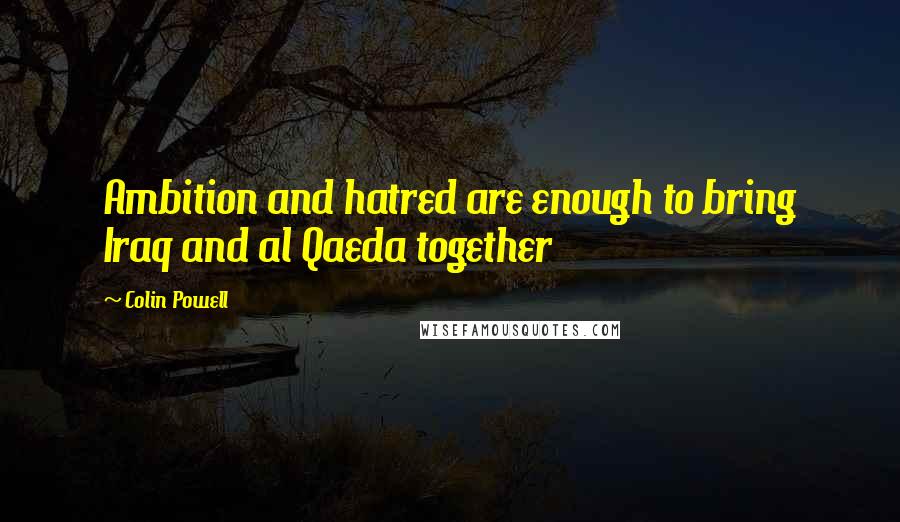 Colin Powell Quotes: Ambition and hatred are enough to bring Iraq and al Qaeda together