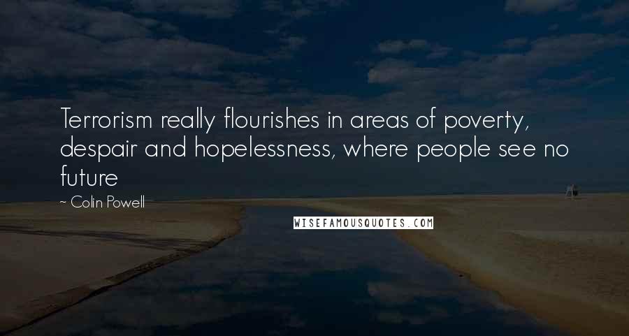 Colin Powell Quotes: Terrorism really flourishes in areas of poverty, despair and hopelessness, where people see no future