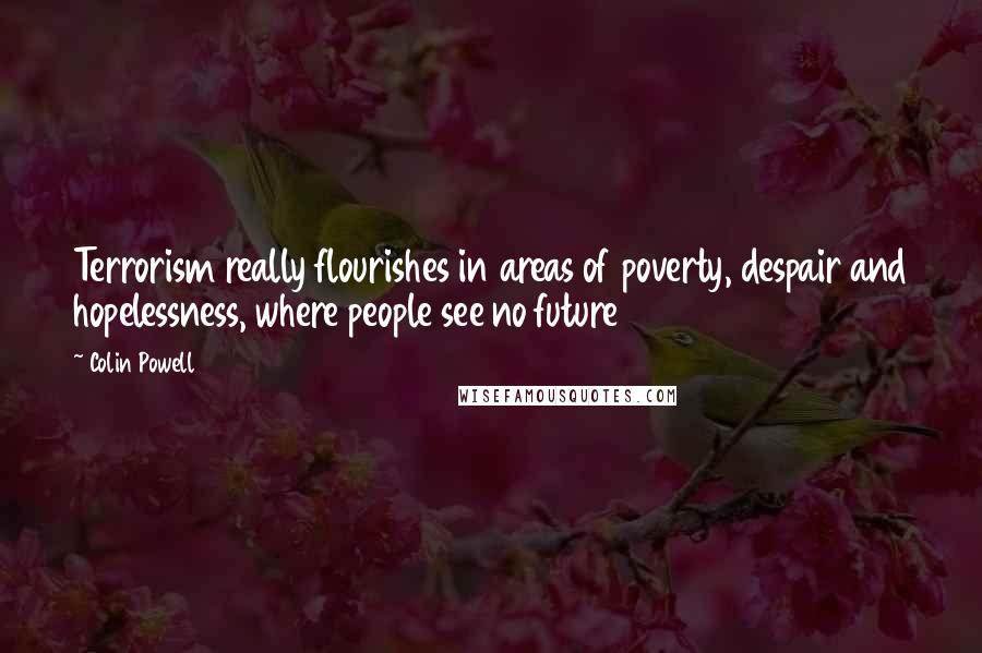 Colin Powell Quotes: Terrorism really flourishes in areas of poverty, despair and hopelessness, where people see no future