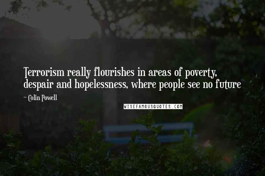 Colin Powell Quotes: Terrorism really flourishes in areas of poverty, despair and hopelessness, where people see no future