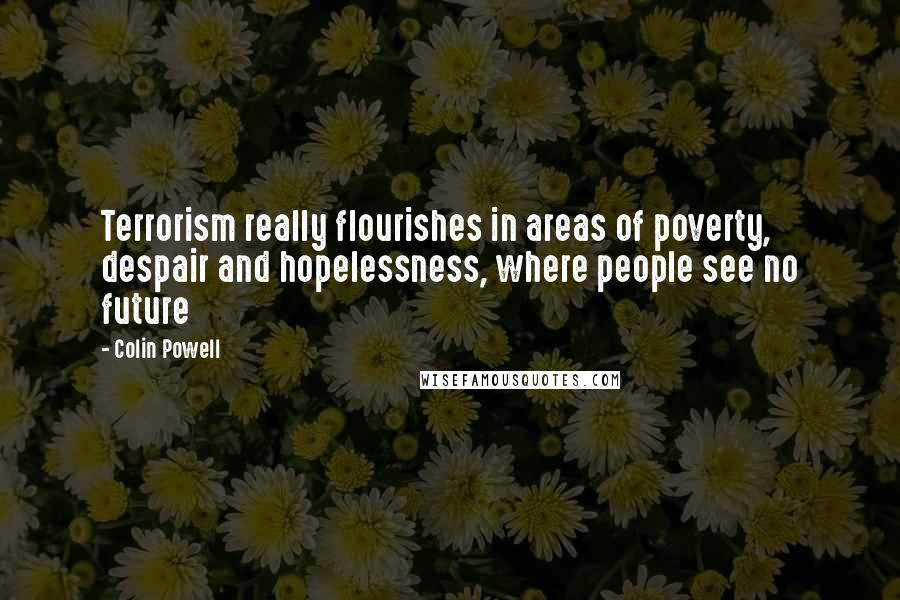 Colin Powell Quotes: Terrorism really flourishes in areas of poverty, despair and hopelessness, where people see no future