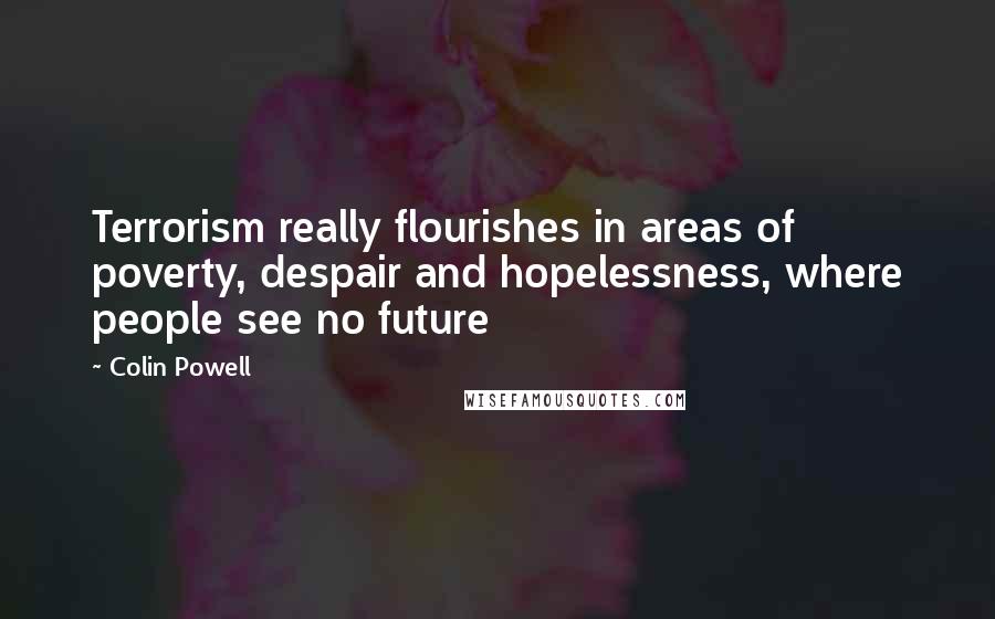Colin Powell Quotes: Terrorism really flourishes in areas of poverty, despair and hopelessness, where people see no future