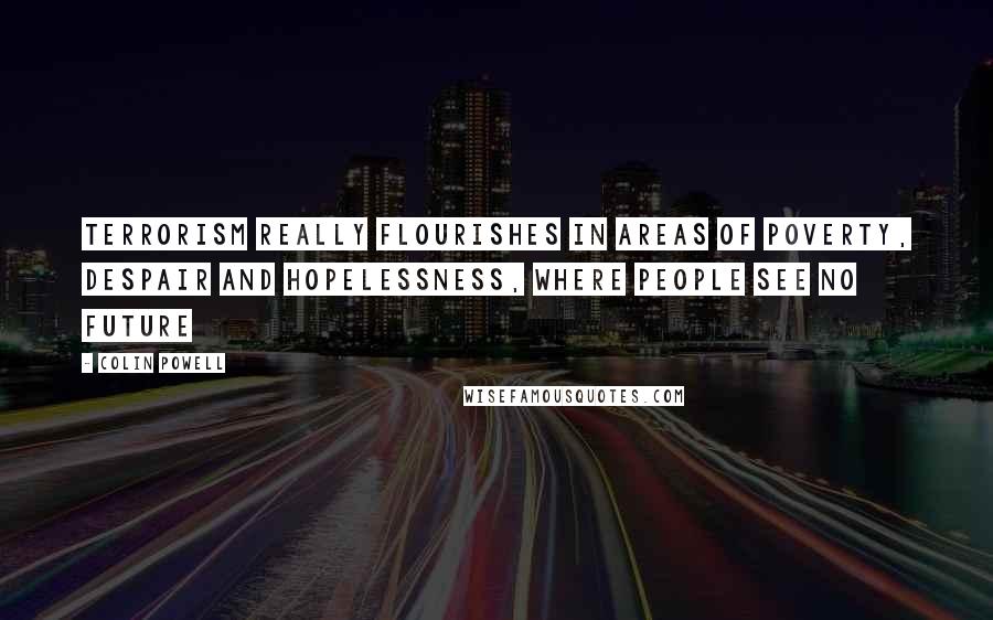 Colin Powell Quotes: Terrorism really flourishes in areas of poverty, despair and hopelessness, where people see no future