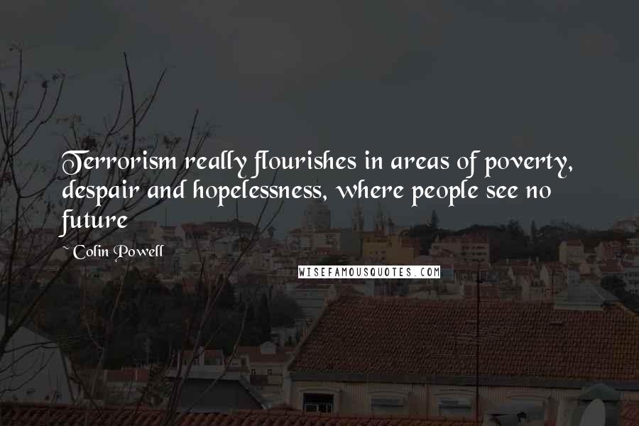 Colin Powell Quotes: Terrorism really flourishes in areas of poverty, despair and hopelessness, where people see no future