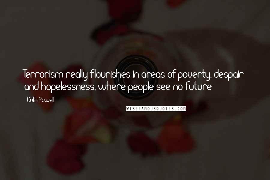 Colin Powell Quotes: Terrorism really flourishes in areas of poverty, despair and hopelessness, where people see no future