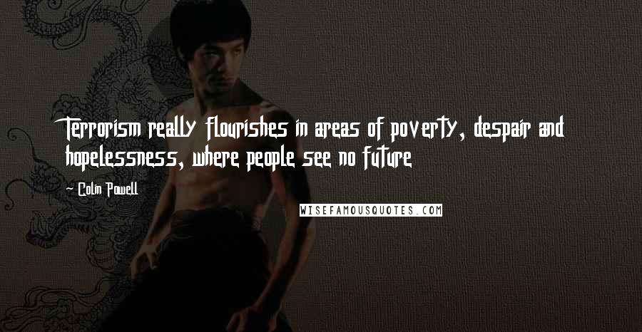 Colin Powell Quotes: Terrorism really flourishes in areas of poverty, despair and hopelessness, where people see no future