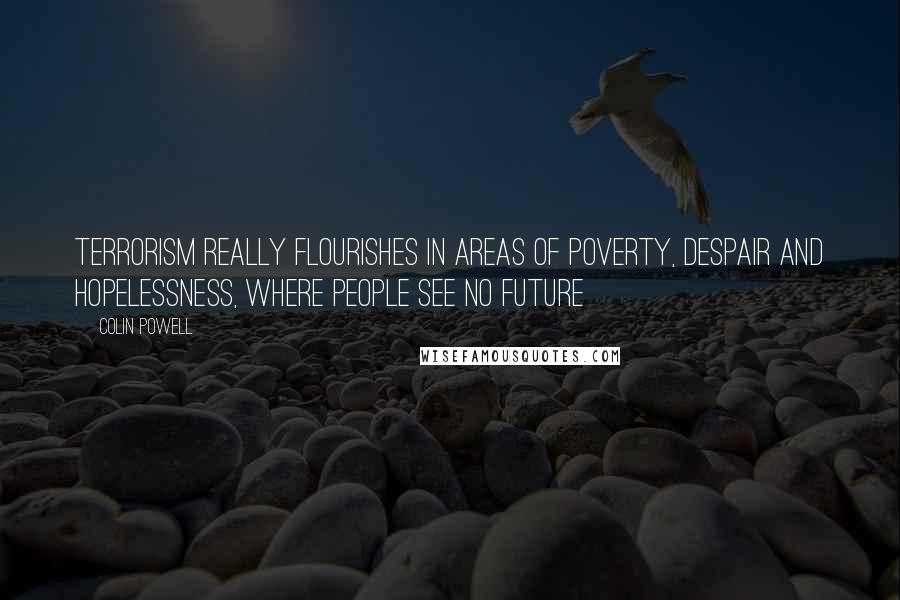 Colin Powell Quotes: Terrorism really flourishes in areas of poverty, despair and hopelessness, where people see no future