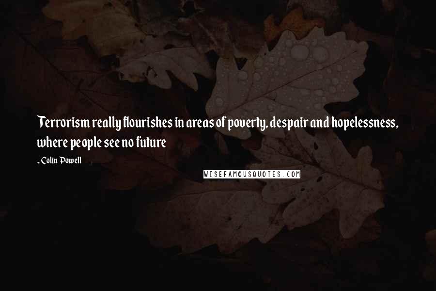 Colin Powell Quotes: Terrorism really flourishes in areas of poverty, despair and hopelessness, where people see no future