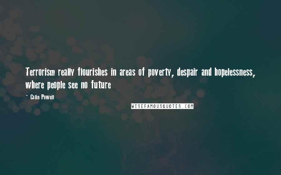 Colin Powell Quotes: Terrorism really flourishes in areas of poverty, despair and hopelessness, where people see no future