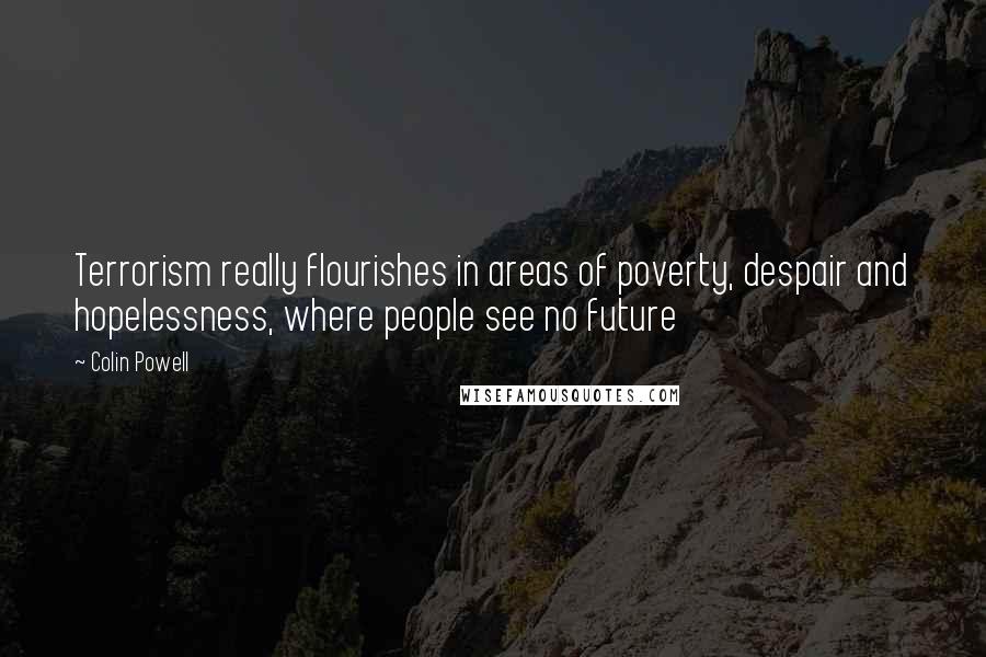 Colin Powell Quotes: Terrorism really flourishes in areas of poverty, despair and hopelessness, where people see no future