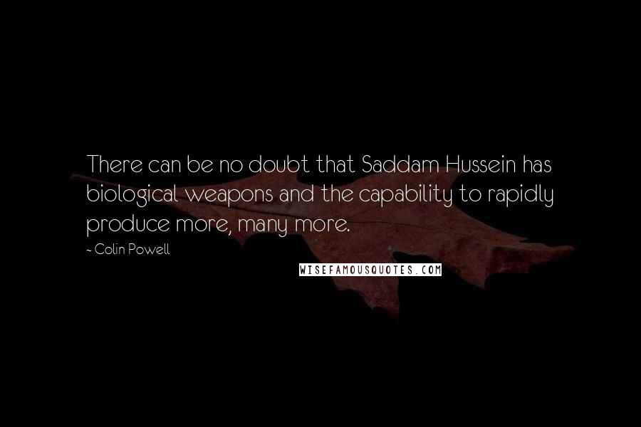 Colin Powell Quotes: There can be no doubt that Saddam Hussein has biological weapons and the capability to rapidly produce more, many more.