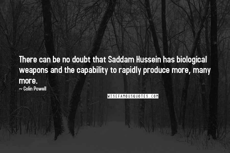 Colin Powell Quotes: There can be no doubt that Saddam Hussein has biological weapons and the capability to rapidly produce more, many more.