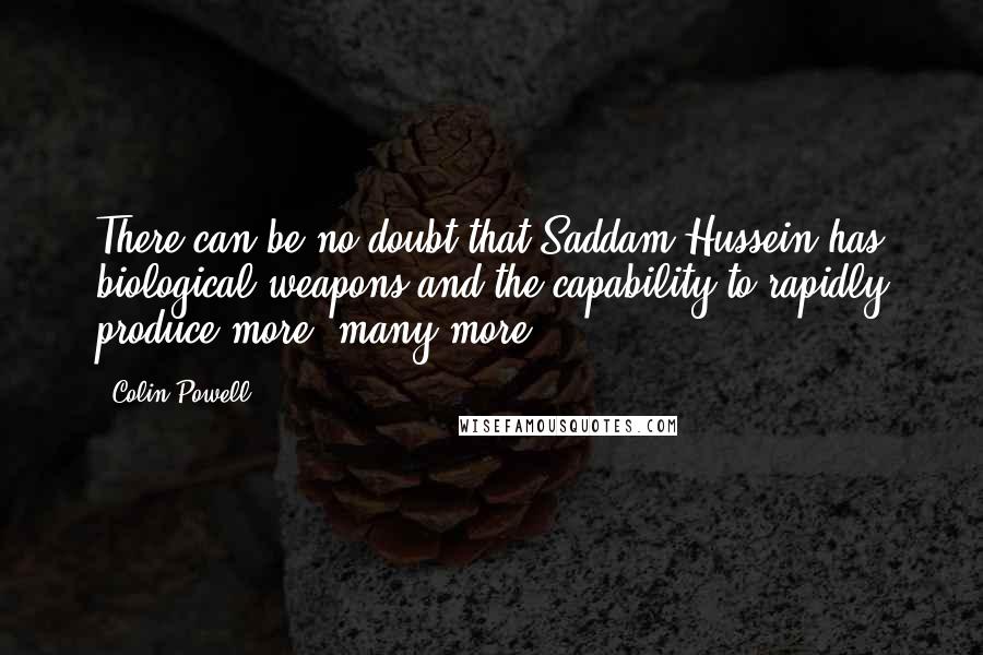 Colin Powell Quotes: There can be no doubt that Saddam Hussein has biological weapons and the capability to rapidly produce more, many more.