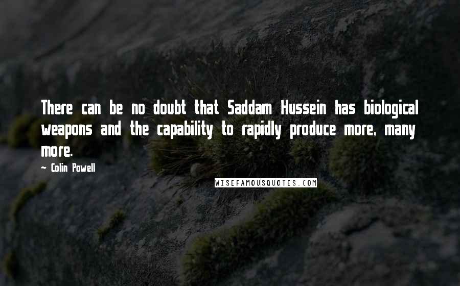 Colin Powell Quotes: There can be no doubt that Saddam Hussein has biological weapons and the capability to rapidly produce more, many more.