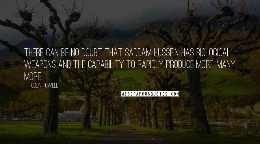 Colin Powell Quotes: There can be no doubt that Saddam Hussein has biological weapons and the capability to rapidly produce more, many more.