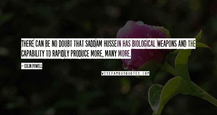 Colin Powell Quotes: There can be no doubt that Saddam Hussein has biological weapons and the capability to rapidly produce more, many more.