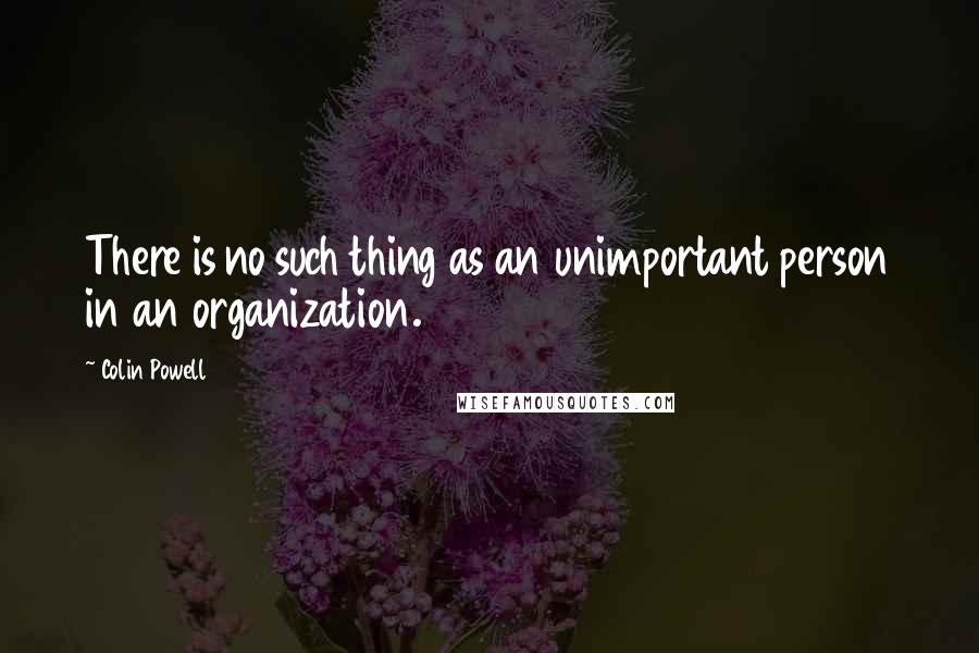 Colin Powell Quotes: There is no such thing as an unimportant person in an organization.