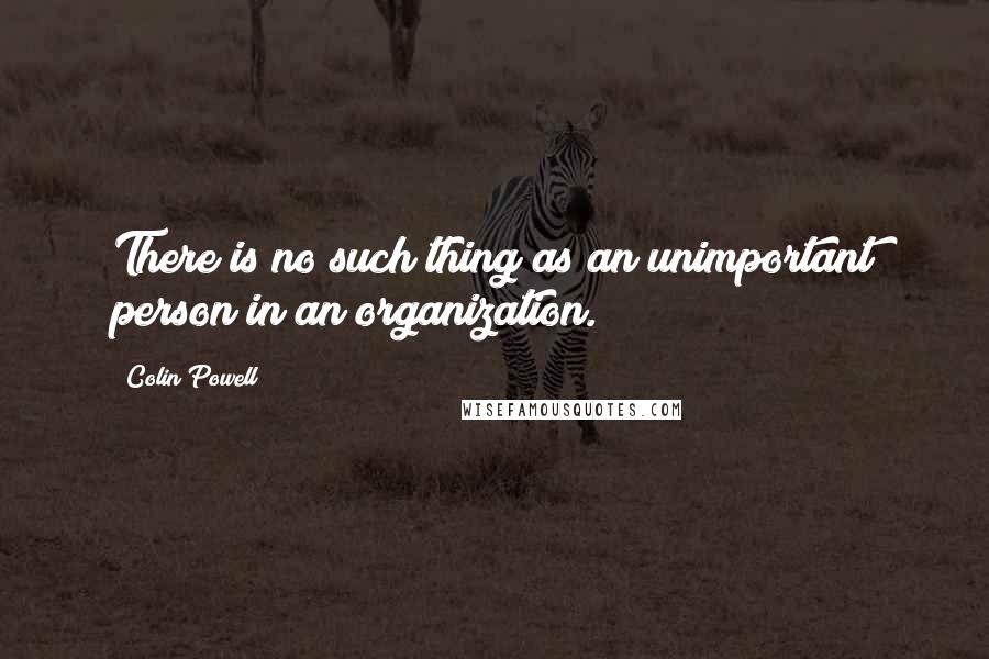 Colin Powell Quotes: There is no such thing as an unimportant person in an organization.