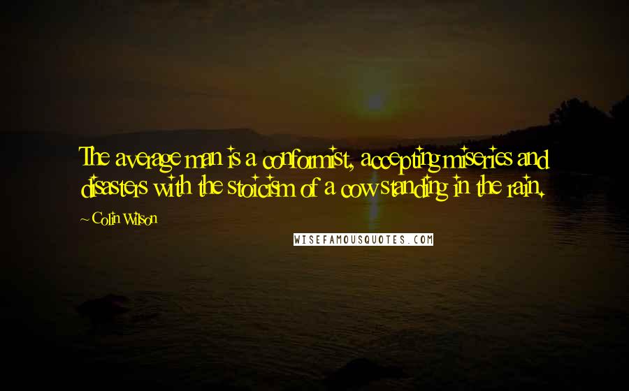 Colin Wilson Quotes: The average man is a conformist, accepting miseries and disasters with the stoicism of a cow standing in the rain.