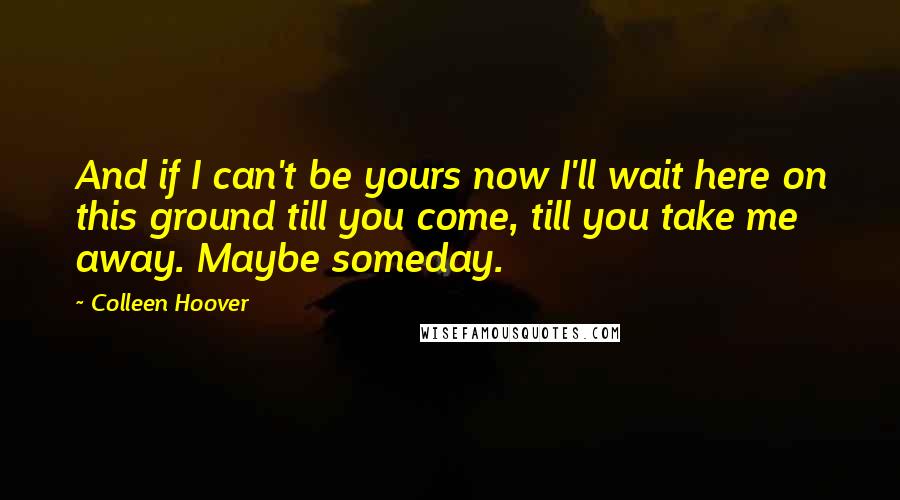 Colleen Hoover Quotes: And if I can't be yours now I'll wait here on this ground till you come, till you take me away. Maybe someday.