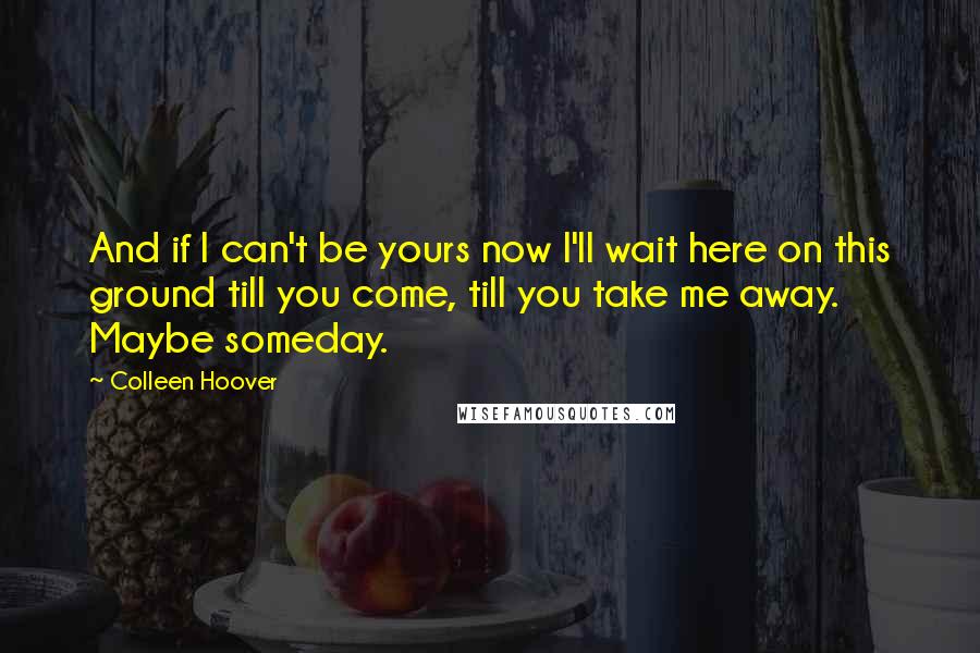 Colleen Hoover Quotes: And if I can't be yours now I'll wait here on this ground till you come, till you take me away. Maybe someday.