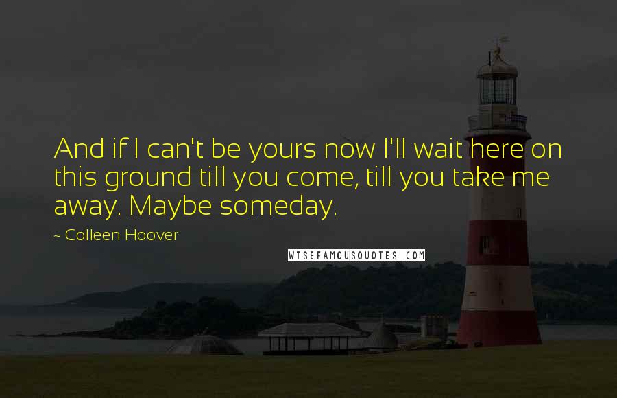 Colleen Hoover Quotes: And if I can't be yours now I'll wait here on this ground till you come, till you take me away. Maybe someday.
