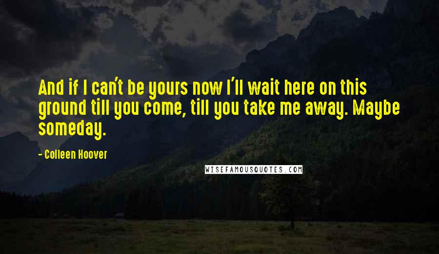 Colleen Hoover Quotes: And if I can't be yours now I'll wait here on this ground till you come, till you take me away. Maybe someday.
