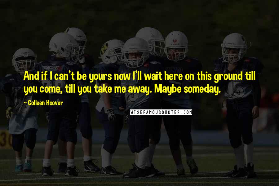 Colleen Hoover Quotes: And if I can't be yours now I'll wait here on this ground till you come, till you take me away. Maybe someday.