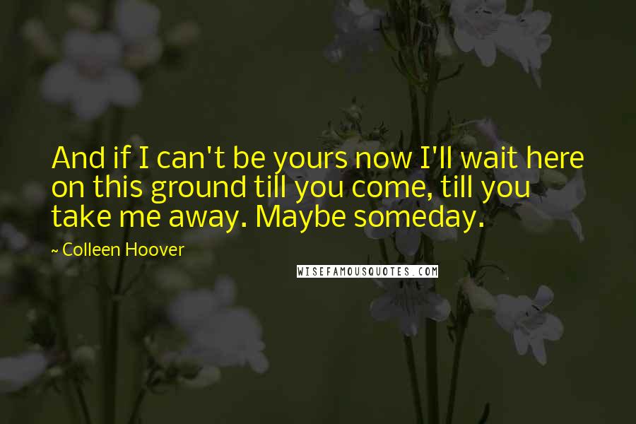 Colleen Hoover Quotes: And if I can't be yours now I'll wait here on this ground till you come, till you take me away. Maybe someday.