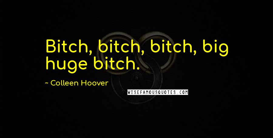 Colleen Hoover Quotes: Bitch, bitch, bitch, big huge bitch.