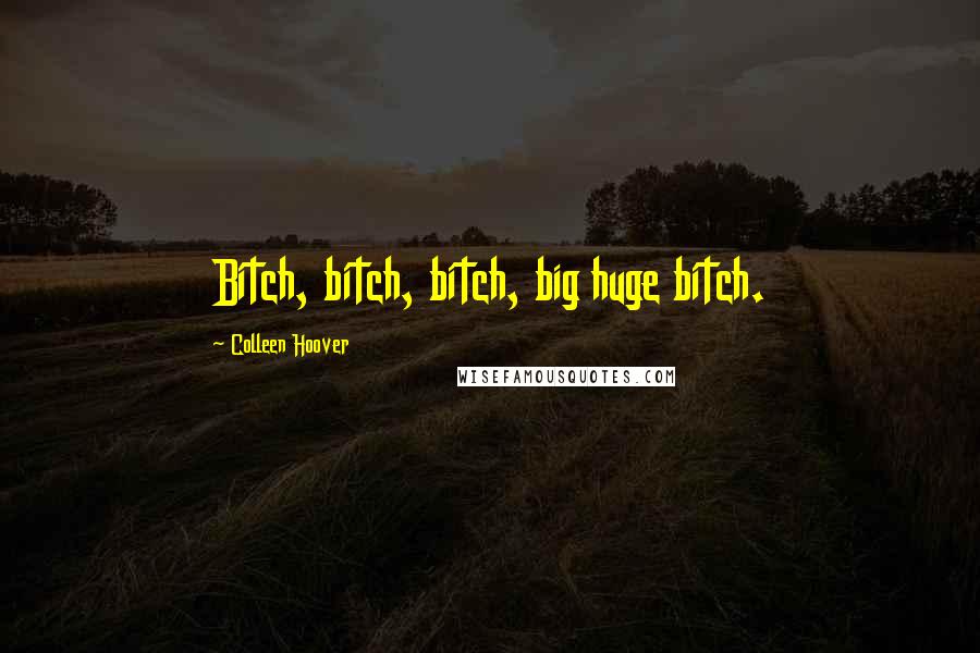 Colleen Hoover Quotes: Bitch, bitch, bitch, big huge bitch.