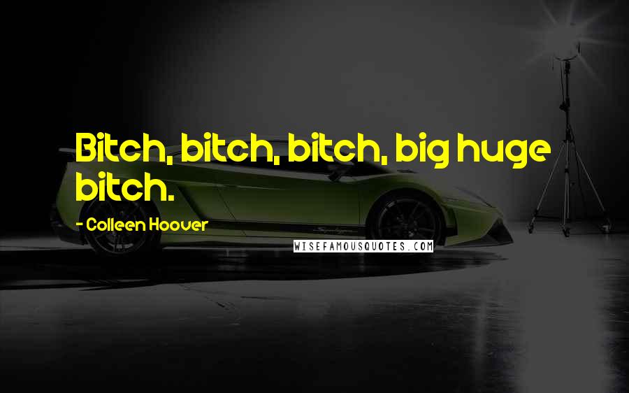 Colleen Hoover Quotes: Bitch, bitch, bitch, big huge bitch.